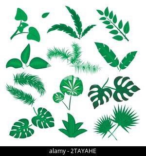 Vecteur de feuilles tropicales ensemble isolé sur fond blanc. Collection de feuilles vertes différente. Flore de forêt de jungle. Banane et feuilles de palmier exotiques dans un appartement Illustration de Vecteur