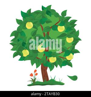 Pommier vert avec fruits de pommes isolé sur fond blanc. Illustration vectorielle Illustration de Vecteur