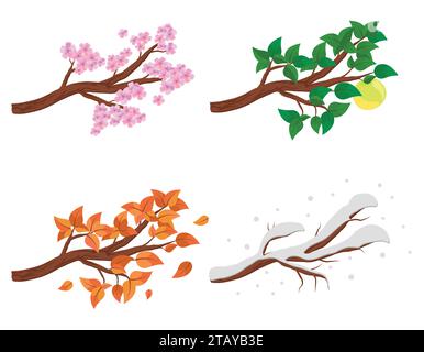 Branche en quatre saisons - printemps, été, automne, hiver. Collection de pommiers isolés sur fond blanc. Feuilles vertes et oranges, fleurs Illustration de Vecteur