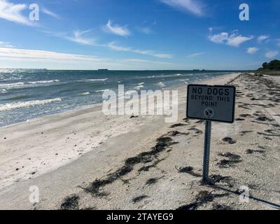 Pas de chiens au-delà de ce signe de point sur une plage de Floride Banque D'Images