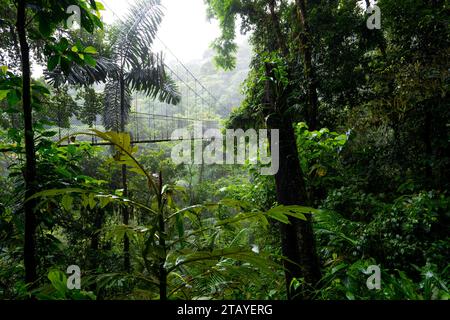 Costa Rica Pont suspendu dans une réserve naturelle de Mistico Arenal Banque D'Images