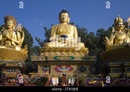 Népal, Vallée de Katmandou, Swayambhu, Amideva, Buddha Park, Banque D'Images