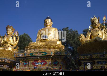 Népal, Vallée de Katmandou, Swayambhu, Amideva, Buddha Park, Banque D'Images