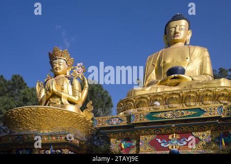 Népal, Vallée de Katmandou, Swayambhu, Amideva, Buddha Park, Banque D'Images