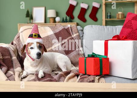 Mignon chien Jack Russell Terrier dans le bandeau de chapeau d'elfe avec des boîtes cadeaux de Noël sur le canapé à la maison Banque D'Images