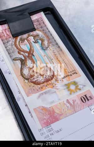 Payer une note de brunch à Glasgow, en Écosse avec des billets de dix livres Banque D'Images