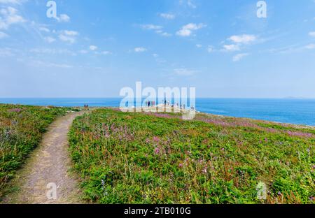 Vue au sommet d'une falaise depuis Skomer, une île au large de la côte du Pembrokeshire, près de Marloes et St brides dans l'ouest du pays de Galles, bien connue pour sa faune Banque D'Images