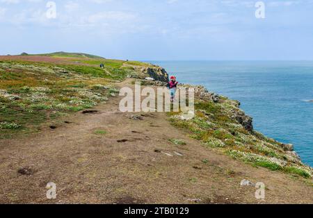 Vue au sommet d'une falaise depuis Skomer, une île au large de la côte du Pembrokeshire, près de Marloes et St brides dans l'ouest du pays de Galles, bien connue pour sa faune Banque D'Images