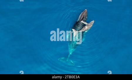 Dimanche dans le lagon de Mayotte Océan Indien Banque D'Images