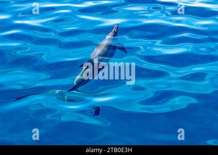 Dimanche dans le lagon de Mayotte Océan Indien Banque D'Images