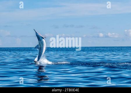 Dimanche dans le lagon de Mayotte Océan Indien Banque D'Images
