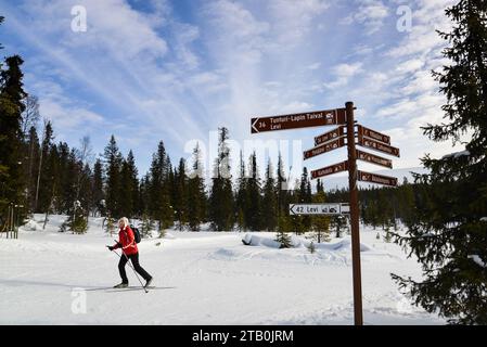 Les skieurs glissent dans le parc national de Pallas-Yllästunturi, dans le nord de la Finlande. Banque D'Images