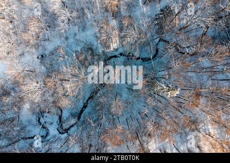 Vue aérienne d'une route traversant une forêt hivernale à côté d'un lit de ruisseau Banque D'Images