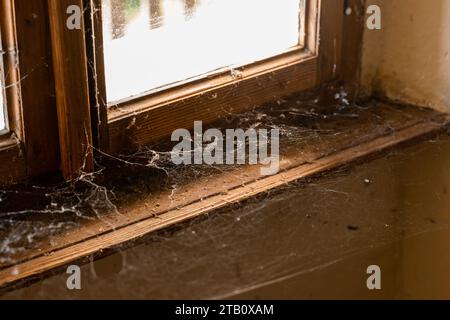 Couche épaisse de toiles d'araignée sur une vitre de fenêtre. Sentiment de maison ancienne déserte, avec rebord de fenêtre et gloire couverts de toile d'araignée blanche. Banque D'Images