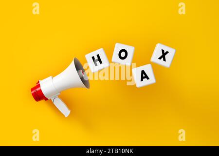 Fausse nouvelle ou concept d'information. Le mot Hoax est écrit sur des blocs blancs avec un mégaphone sur fond jaune. Rendu 3D. Banque D'Images