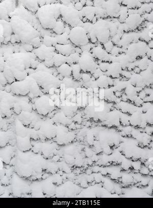 fond d'hiver fait de gros plan de texture de neige Banque D'Images