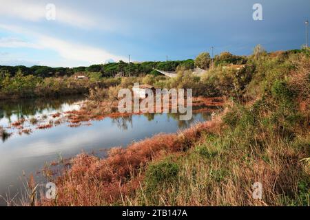 Ravenne, Emilie Romagne, Italie : Paysage de la zone humide avec des cabanes de pêche dans la réserve naturelle du Parc du Delta du po Banque D'Images