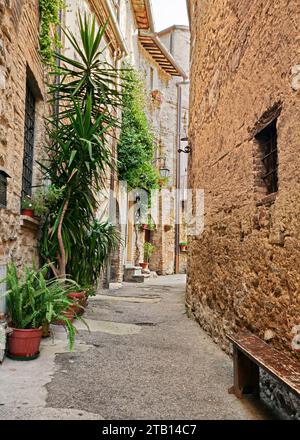 Bevagna, Pérouse, Ombrie, Italie : ruelle étroite pittoresque avec des maisons anciennes et des plantes dans la vieille ville Banque D'Images