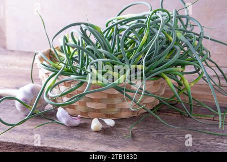 Flèches à l'ail. Un bouquet de verts sur la table. Alimentation en vitamines saine végétale. Tiges vertes de tiges plantules pour la salade et le ragoût. Herbes fraîches végétariennes, cuisine chinoise. Banque D'Images