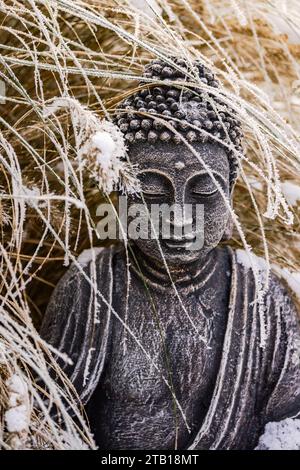 Figure frappante de Bouddha avec le visage et le haut du corps entre l'herbe ornementale dans le jardin en hiver Banque D'Images