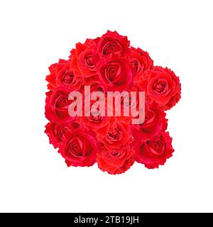 Un bouquet de roses rouges Banque D'Images