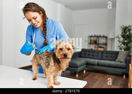 Jeune belle femme hispanique vétérinaire chien de vaccination à la maison Banque D'Images