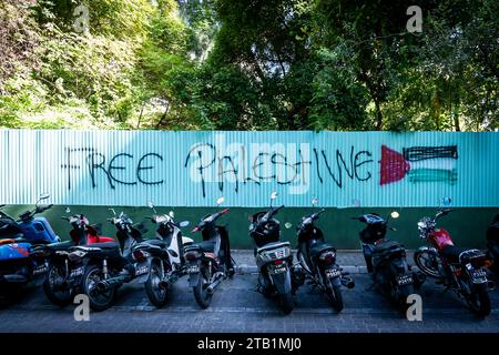 Maldives. 04 décembre 2023. De l'art de rue avec le message 'Palestine libre' est vu dans la rue à Malé. Vie quotidienne à Malé, aux Maldives, capitale de la nation insulaire de l’océan Indien, dont l’économie dépend fortement du tourisme. La population du pays comprend de nombreux ressortissants étrangers travaillant dans des pays du monde entier, y compris les Philippines, le Myanmar, le Sri Lanka et l'Inde, et sa population est majoritairement musulmane. Crédit : Matt Hunt/Neato/Alamy Live News Banque D'Images