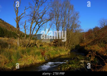 CWM Ratgoed (Ratgoed Valley) Gwynedd Sud pays de Galles Royaume-Uni Banque D'Images