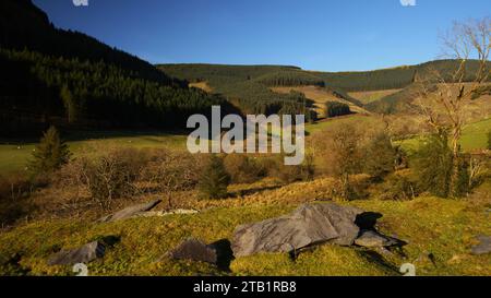 CWM Ratgoed (Ratgoed Valley) près d'Aberllefenni, Gwynedd Sud, PAYS DE GALLES, Royaume-Uni Banque D'Images