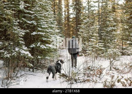 Chien suivant l'homme sur la marche d'hiver paisible dans la forêt de pins enneigés Banque D'Images