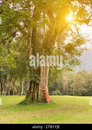 Femme près du grand arbre au paysage vert beautyful de Handara Banque D'Images