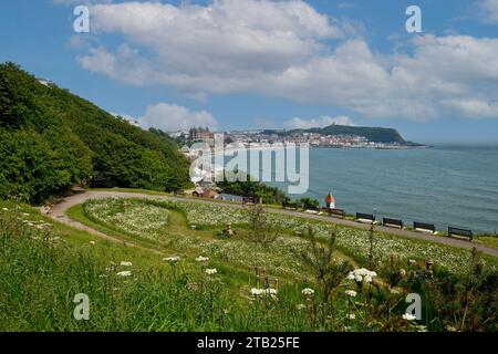 Jardins surplombant South Bay point de vue en été Scarborough North Yorkshire Angleterre Royaume-Uni GB Grande-Bretagne Banque D'Images