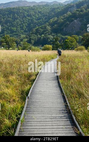 Les gens marchent les touristes marchant sur la promenade sur la tourbière marécageuse près de Derwentwater en été Lake District National Park Cumbria Angleterre Royaume-Uni Banque D'Images