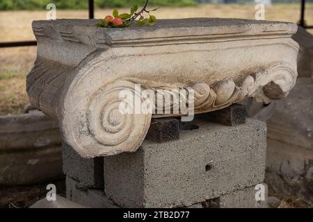 Site archéologique de Luni : colonne capitale de la colonie étrusque de Luni (devenue une colonie romaine en 177 av. J.-C.). Fouilles près de la Spezia, Ligurie, Italie. Banque D'Images