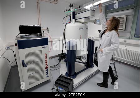 Rostock, Allemagne. 04 décembre 2023. Ulrike Jost, une chimiste, place un échantillon dans un crible alimentaire à l'Office d'État pour l'agriculture, la sécurité alimentaire et la pêche (Lallf). Le spectromètre à résonance magnétique nucléaire, qui coûte un million d’euros, permet d’analyser avec précision des échantillons alimentaires. À l'avenir, une analyse prendra environ 30 minutes au lieu des trois jours précédents et permettra également de déterminer le pays d'origine exact. Crédit : Bernd Wüstneck/dpa/Alamy Live News Banque D'Images