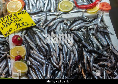 Istanbul, Turquie. 15 novembre 2023 Hamsi turc frais de la mer Noire à vendre, un type de poisson anchois populaire en Turquie vendu sur le marché aux poissons d'ISTA Banque D'Images