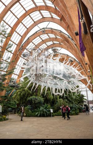 Réplique géante de la bactérie E coli créée par Luke Jerran exposée à l'intérieur de Winter Garden, Sheffield, Yorkshire, Royaume-Uni Banque D'Images