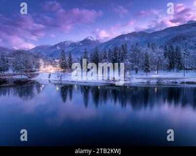 Vue aérienne du lac, montagnes enneigées, arbres, ciel violet la nuit Banque D'Images