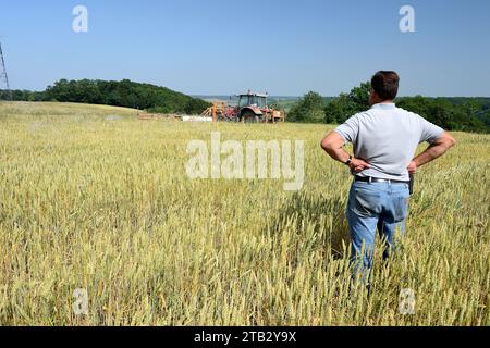 Technicien agricole de la Chambre d'agriculture observant le contrôle des mauvaises herbes lors d'une visite de terrain Banque D'Images