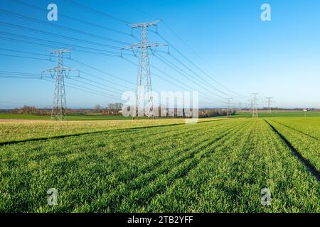 Pylônes haute tension EDF au-dessus d'un champ de blé dans le département de la Seine-Maritime (nord de la France) Banque D'Images