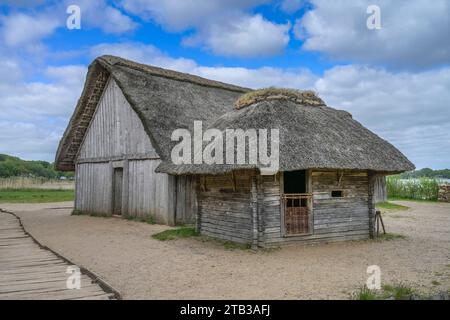 Strohgedecktes historisches Haus, Dorf, Wikinger Museum Haithabu, Schleswig, Schleswig-Holstein, Deutschland *** Maison historique en chaume, village, Viking Museum Haithabu, Schleswig, Schleswig Holstein, Allemagne crédit : Imago/Alamy Live News Banque D'Images