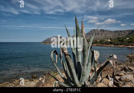 Petite ville et châteaux à Majorque, Espagne, Europe Banque D'Images