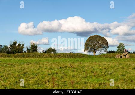 Belfast, comté de Down, Irlande du Nord octobre 22 2023 - vue du paysage de l'anneau des géants, y compris le monument henge et le grand arbre de plaine, Ballynahatty Banque D'Images