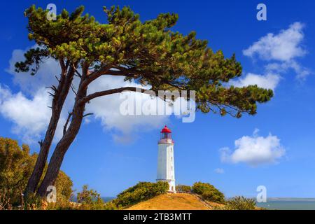 Allemagne, Mecklenburg-Vorpommern, Hiddensee, Dornbusch, Leuchtturm, Insel, Insel Hiddensee, Leuchtfeuer Dornbusch / Hiddensee, Ostsee, Banque D'Images