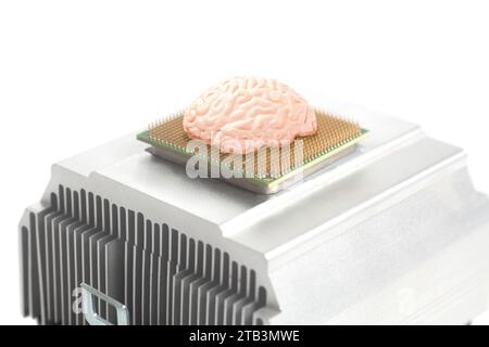Modèle anatomique du cerveau humain sur puce de processeur d'unité centrale. Banque D'Images