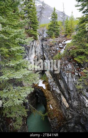 Marble Canyon, Kootenay NP, Canada Banque D'Images