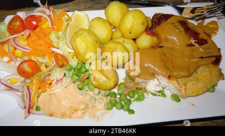 Poulet Schnitzel avec pommes de terre et salade Banque D'Images