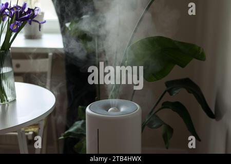Diffuseur ultrasonique, purificateur d'air, humidificateur libère le flux du hammam froid pour la croissance appropriée de la plante d'intérieur. Soin hydratation des plantes dans l'air sec. AR Banque D'Images