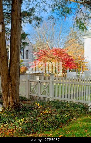 Arbres colorés d'automne brillamment éclairés dans la pelouse derrière la clôture de piquet blanche sur le quartier historique de main Street à Stockbridge Massachusetts — octobre 2023 Banque D'Images