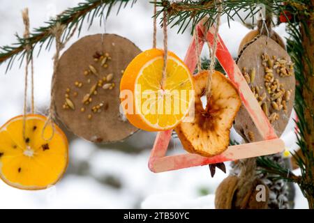 Décorations de Noël maison accrochées sur le sapin de Noël à l'extérieur détail séché, fruits Banque D'Images